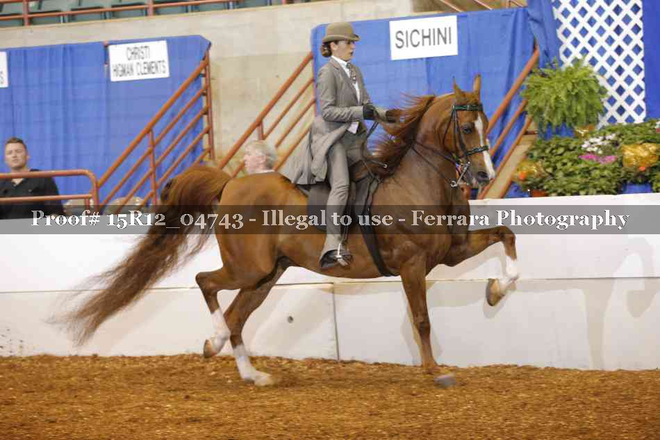 Proof 15R12_04743