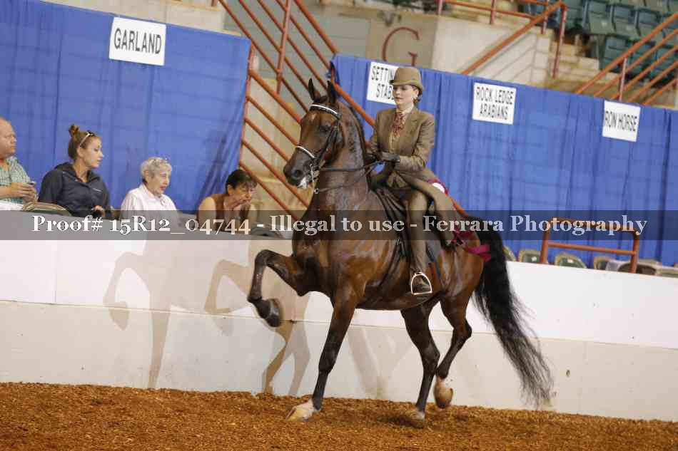 Proof 15R12_04744