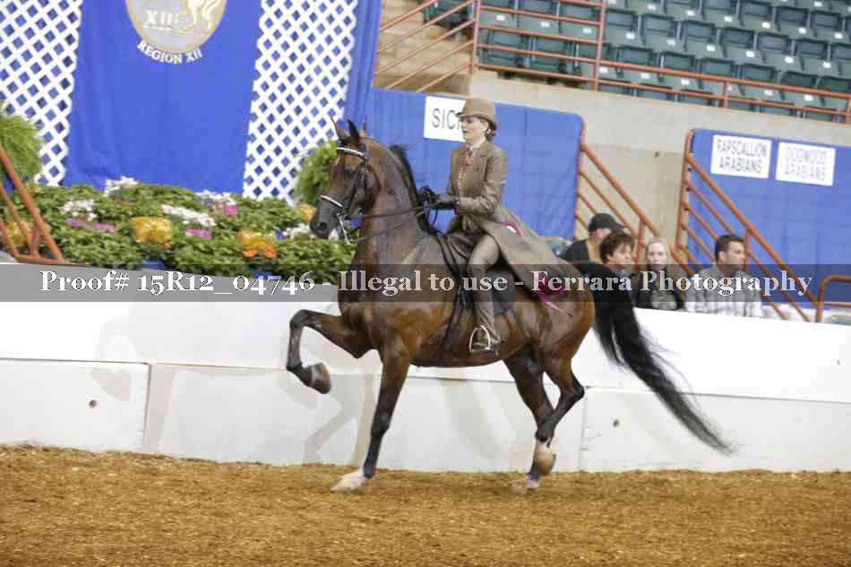 Proof 15R12_04746