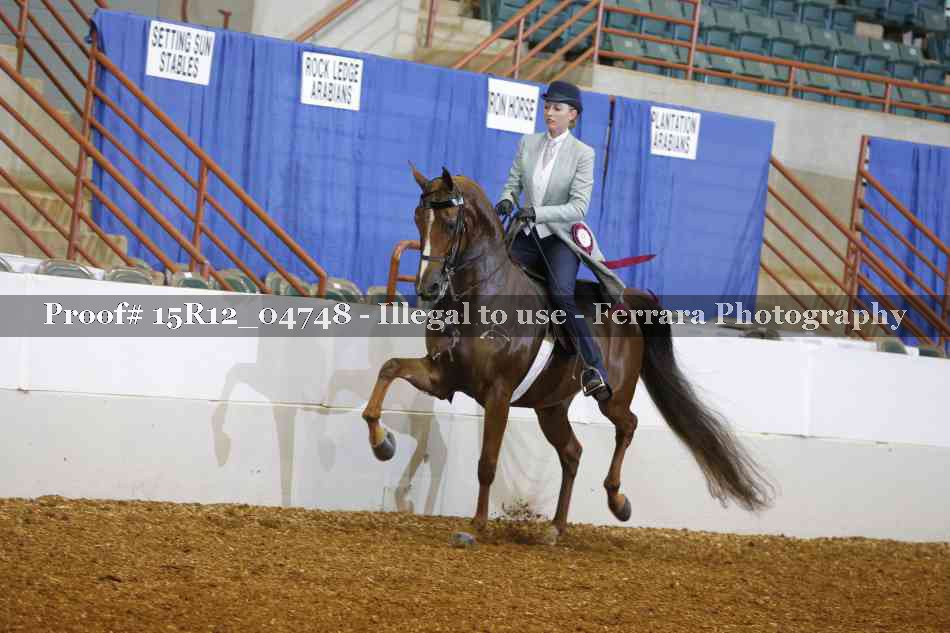 Proof 15R12_04748