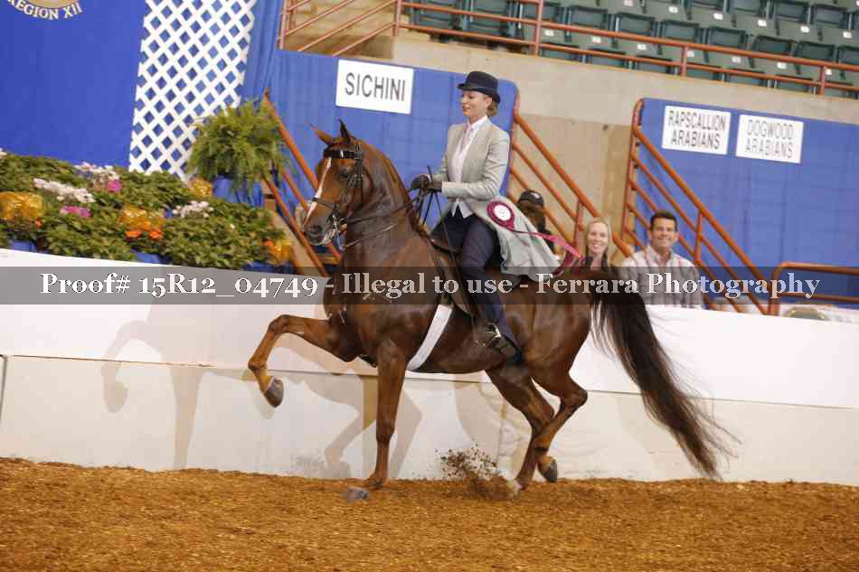 Proof 15R12_04749