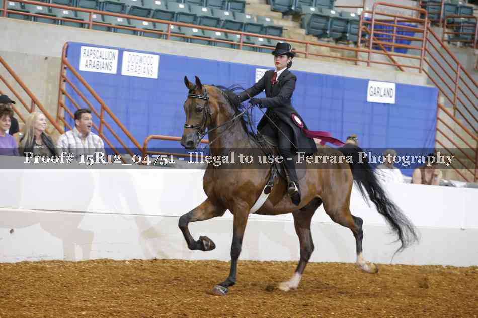 Proof 15R12_04751