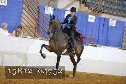 15R12_04752 proof