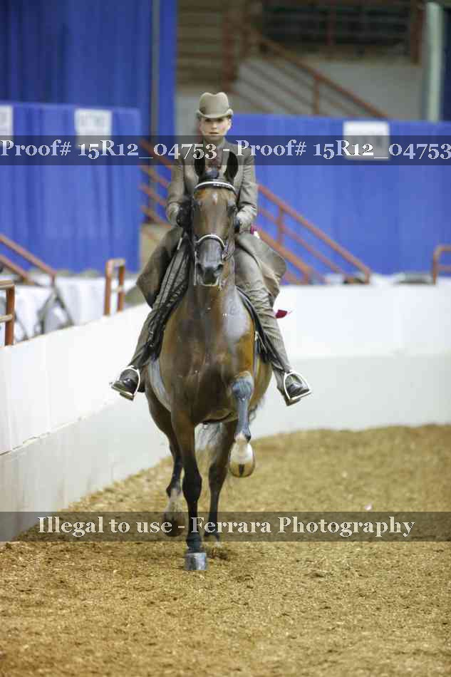 Proof 15R12_04753