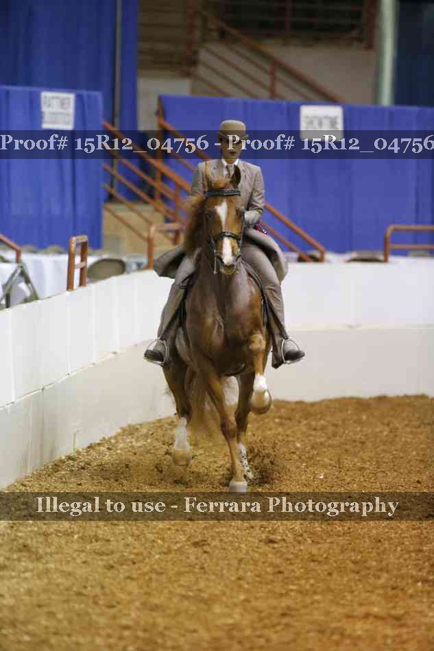 Proof 15R12_04756