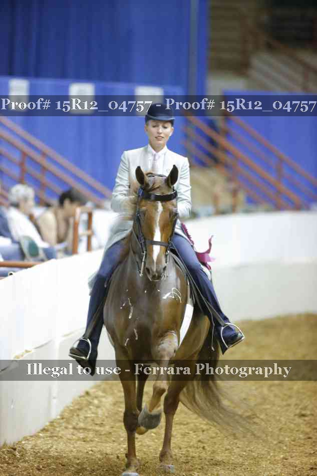 Proof 15R12_04757