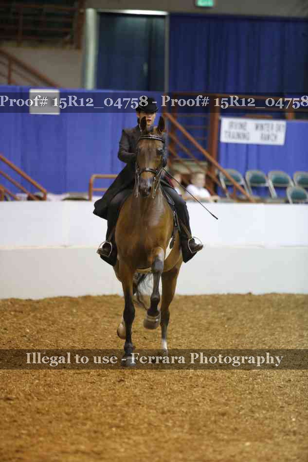 Proof 15R12_04758