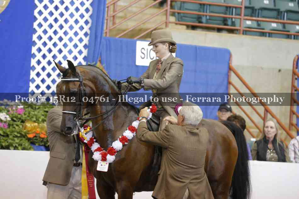 Proof 15R12_04761