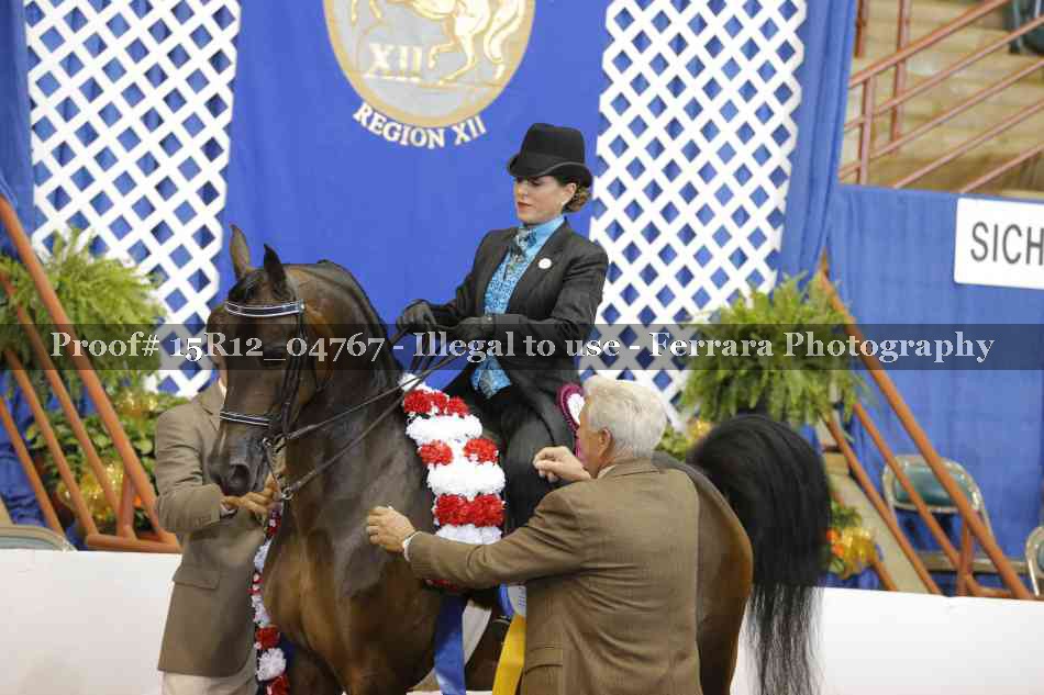 Proof 15R12_04767