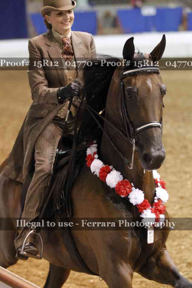 Proof 15R12_04770