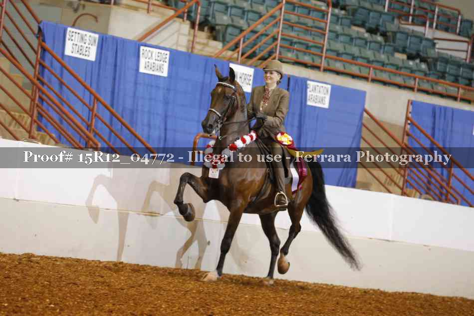 Proof 15R12_04772