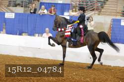 15R12_04784 proof