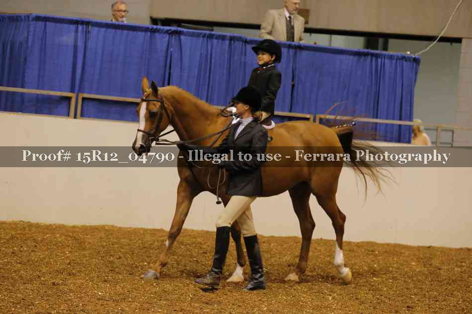 Proof 15R12_04790