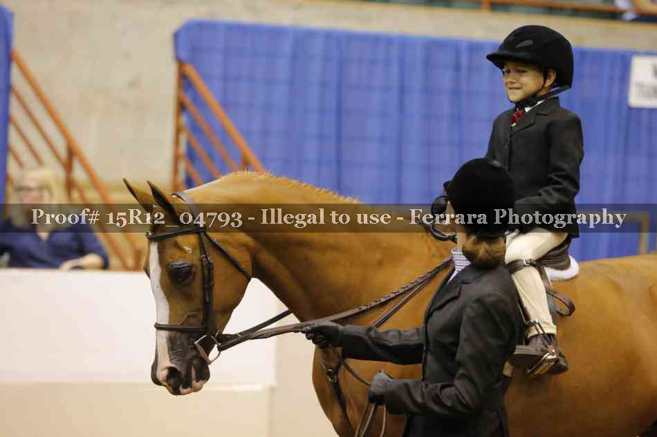 Proof 15R12_04793