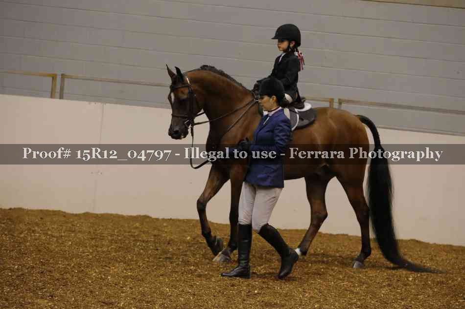 Proof 15R12_04797