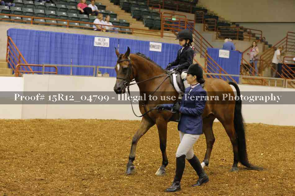 Proof 15R12_04799