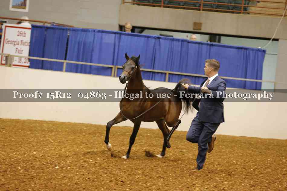 Proof 15R12_04863
