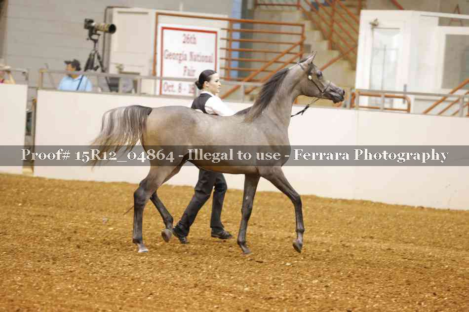 Proof 15R12_04864