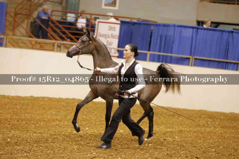 Proof 15R12_04865