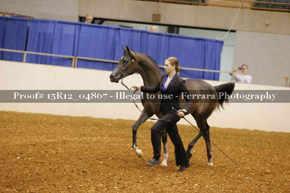 Proof 15R12_04867