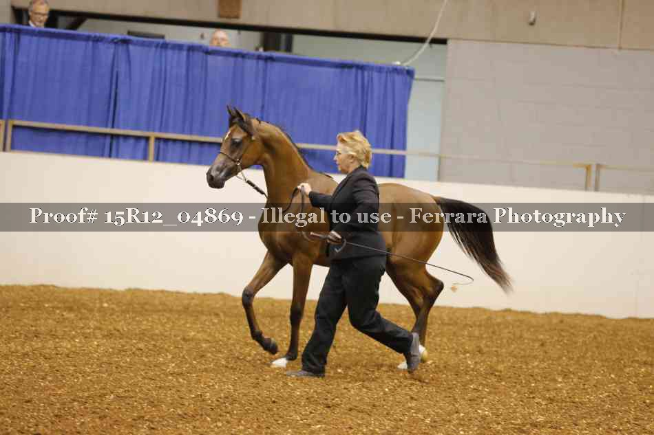 Proof 15R12_04869