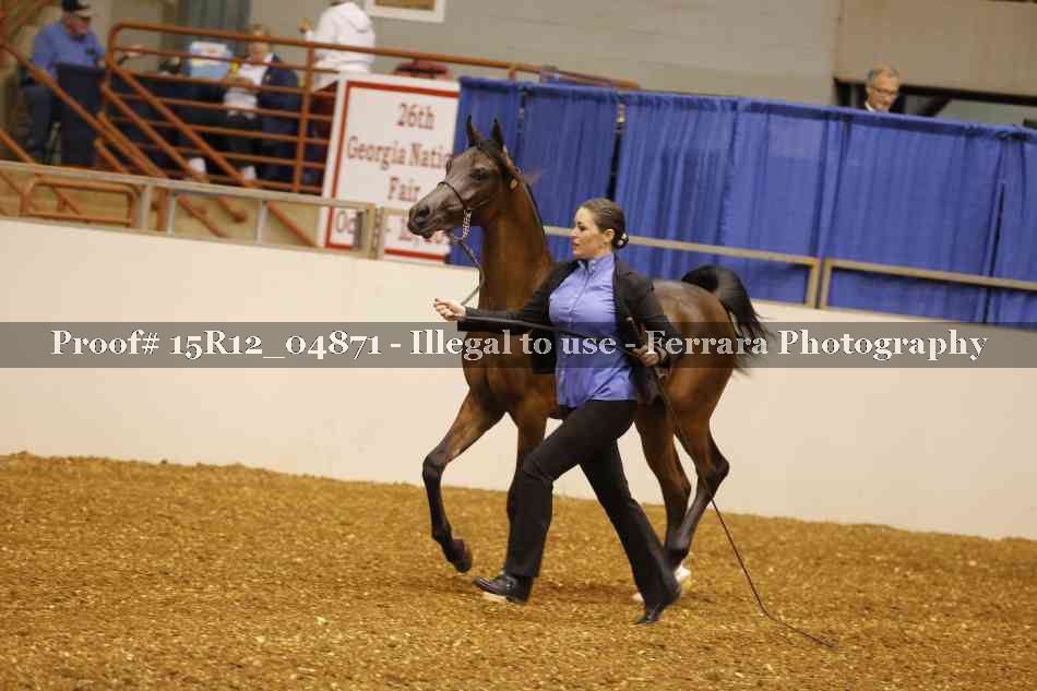 Proof 15R12_04871