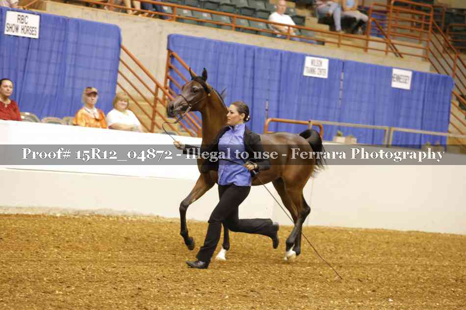 Proof 15R12_04872