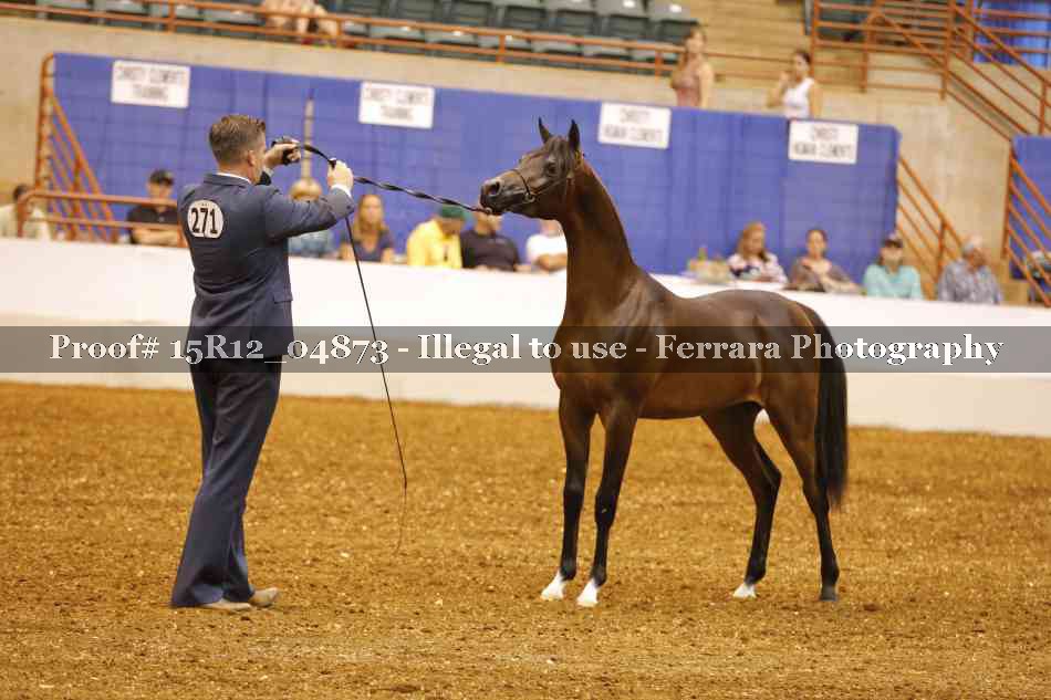 Proof 15R12_04873