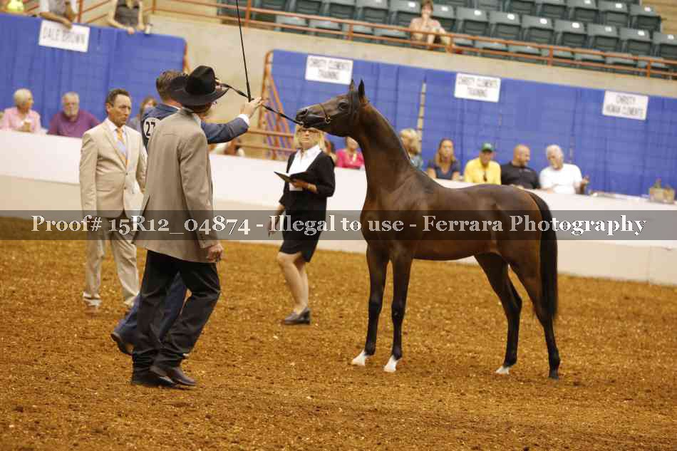 Proof 15R12_04874