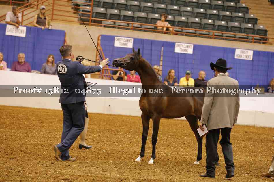 Proof 15R12_04875