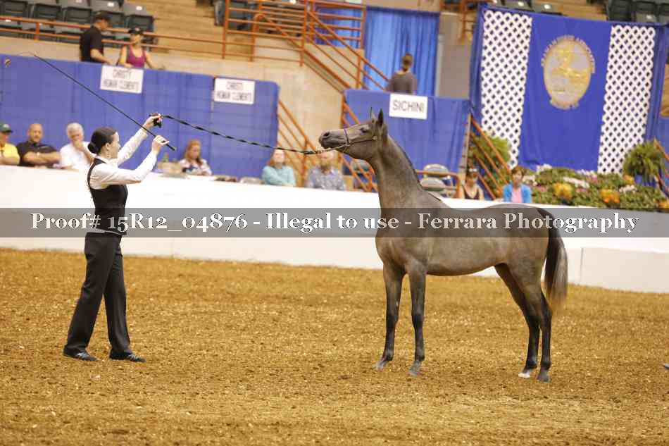Proof 15R12_04876