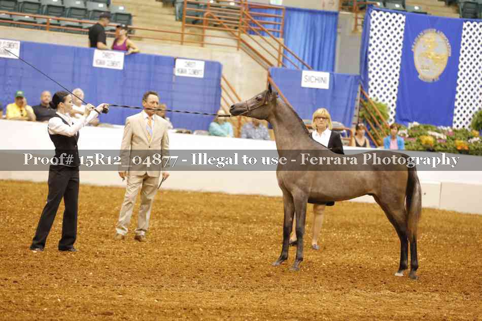 Proof 15R12_04877