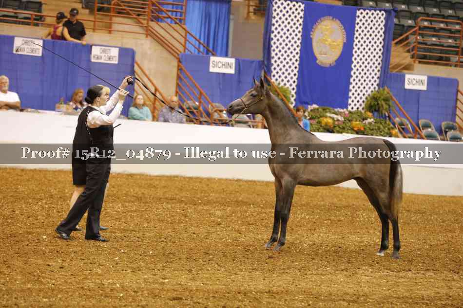 Proof 15R12_04879