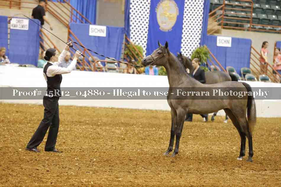 Proof 15R12_04880