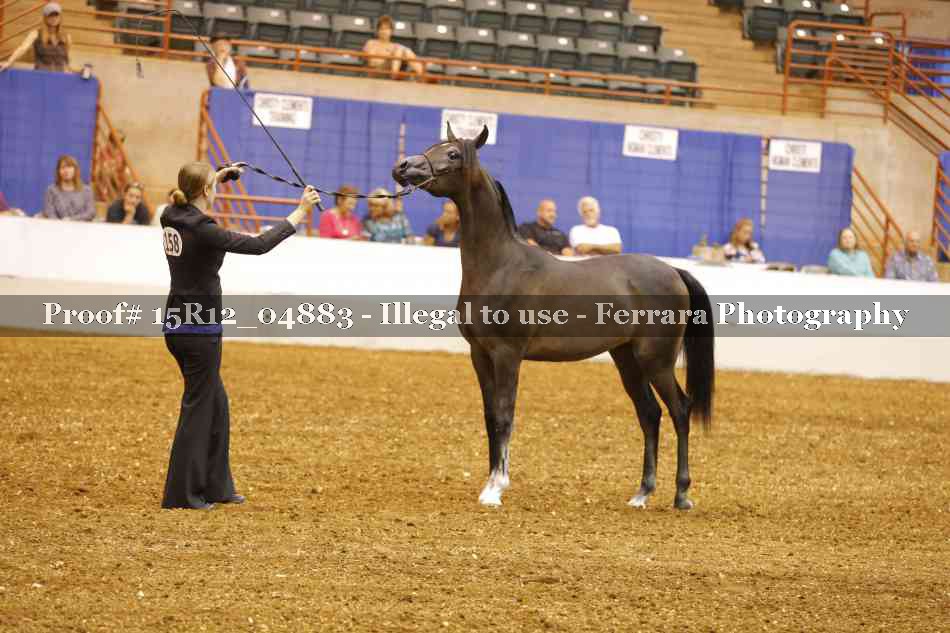 Proof 15R12_04883