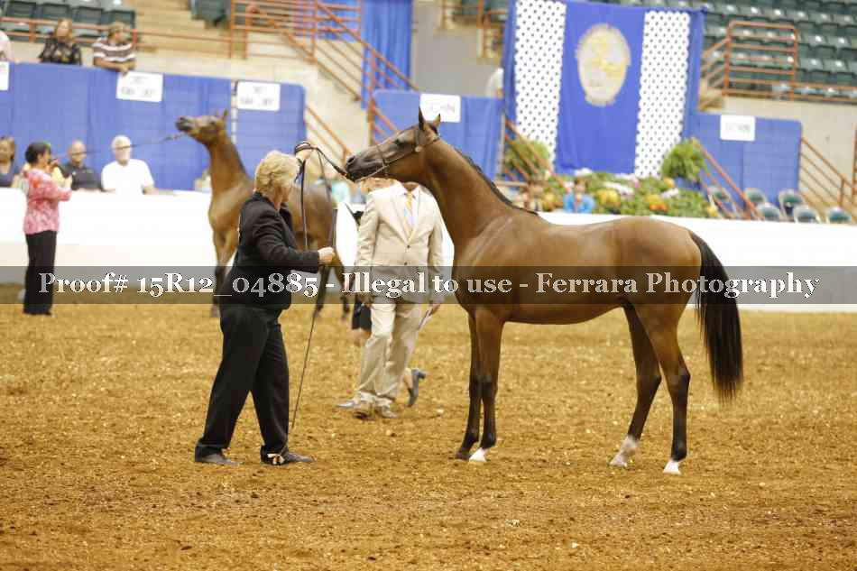Proof 15R12_04885