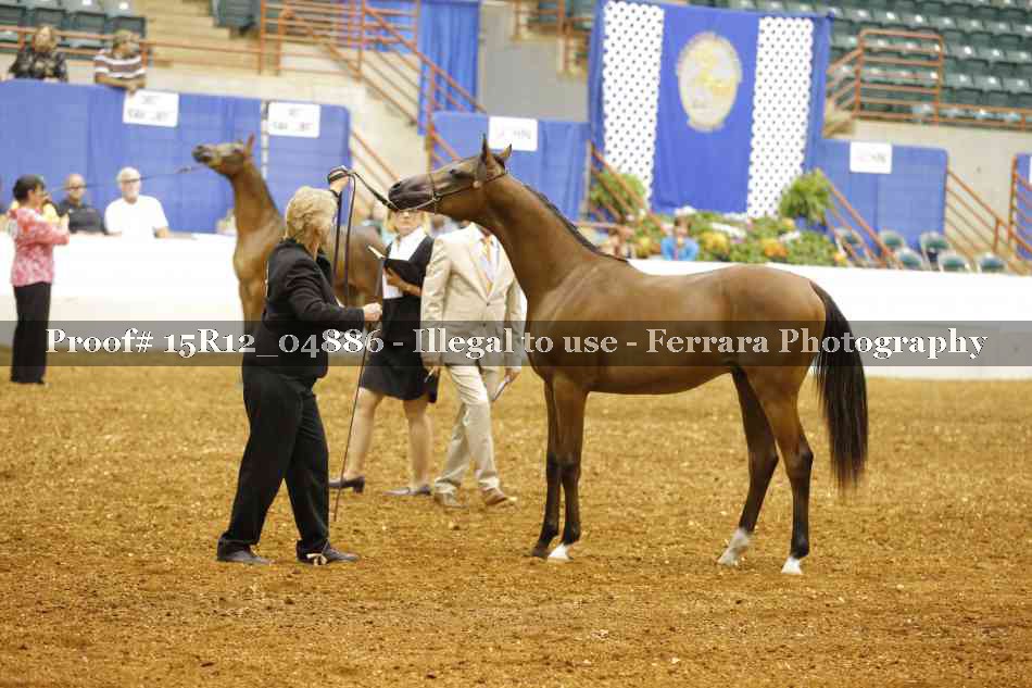 Proof 15R12_04886