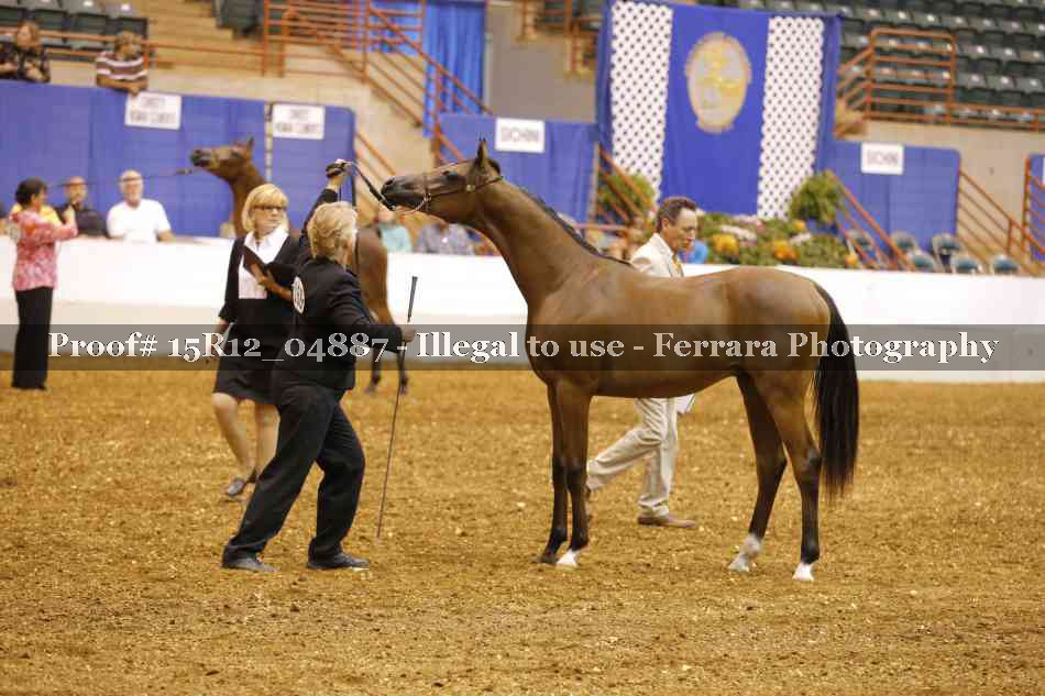 Proof 15R12_04887