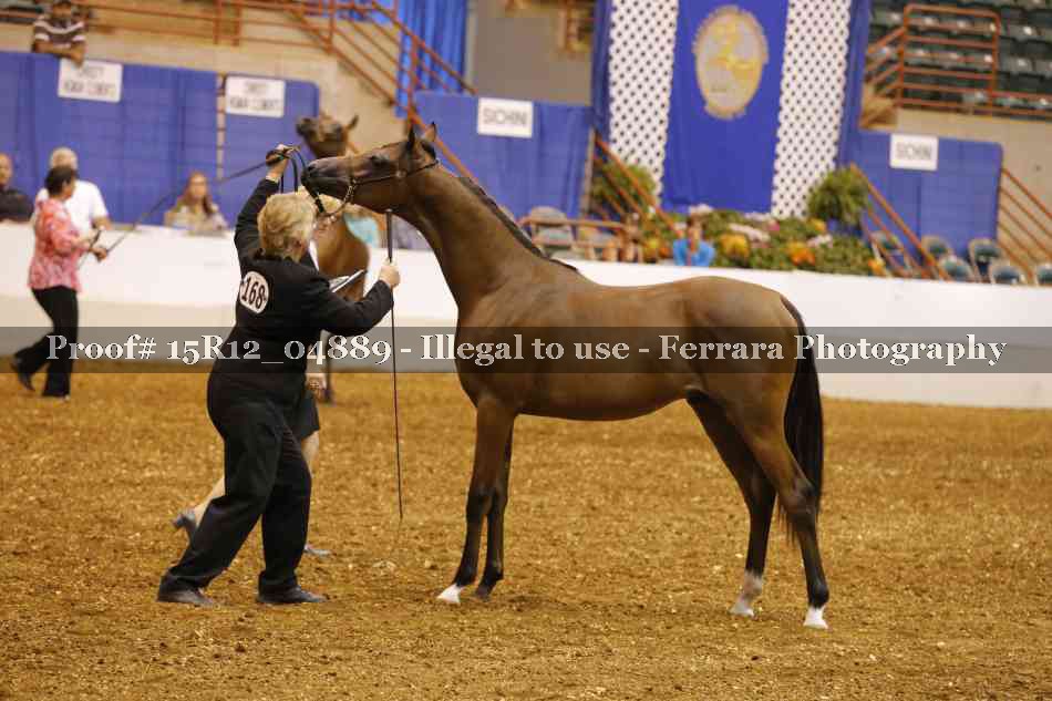 Proof 15R12_04889