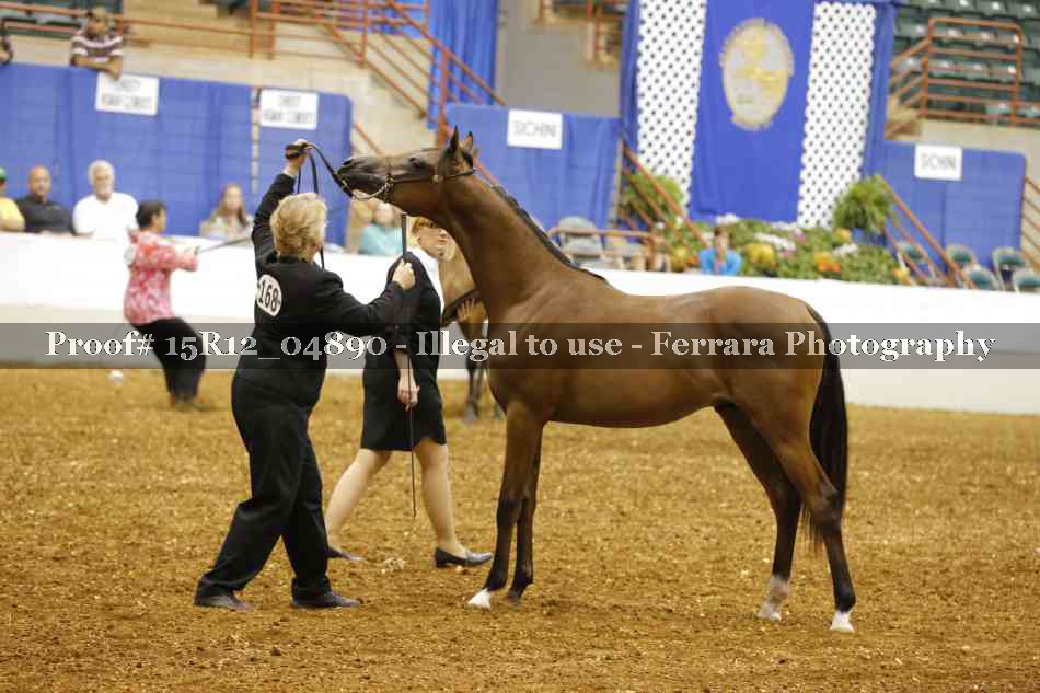 Proof 15R12_04890