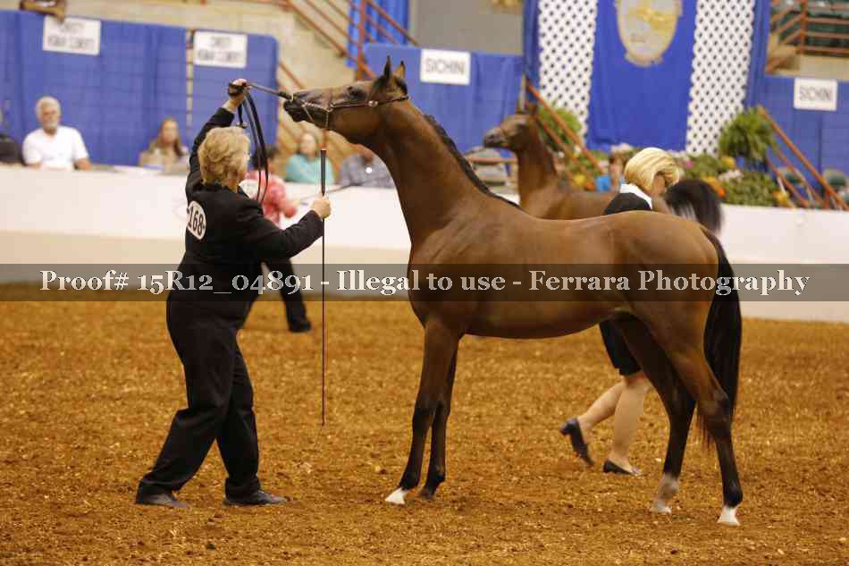 Proof 15R12_04891