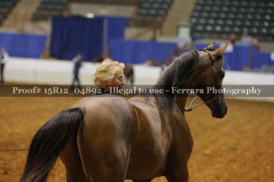 Proof 15R12_04892