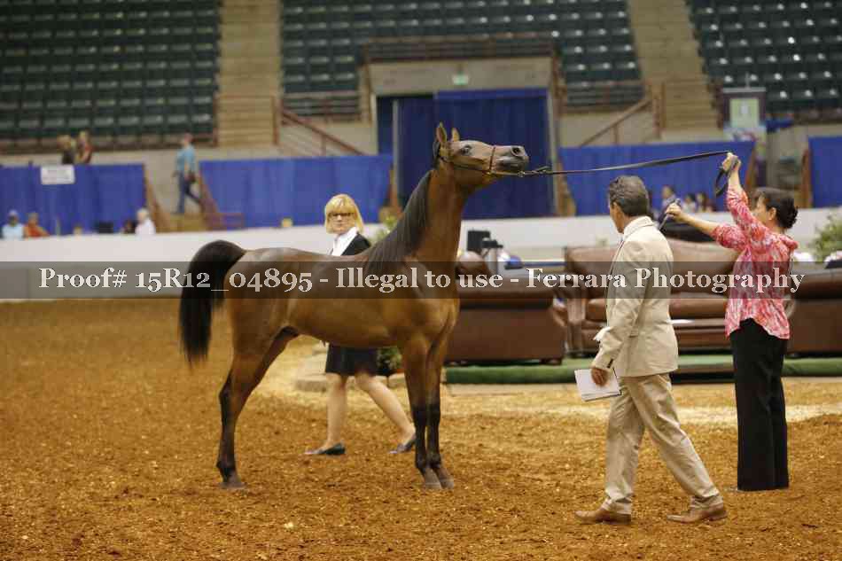 Proof 15R12_04895