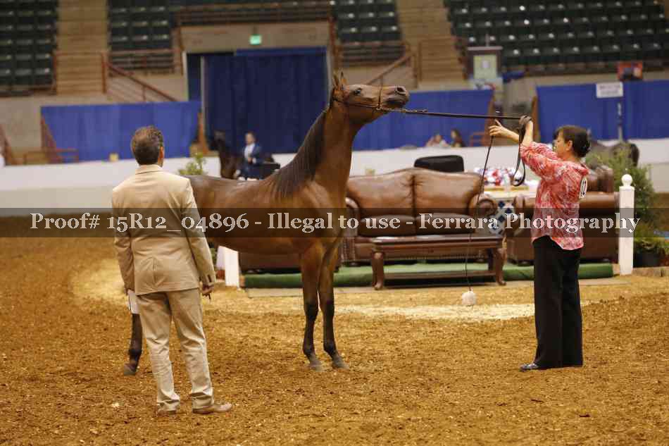 Proof 15R12_04896