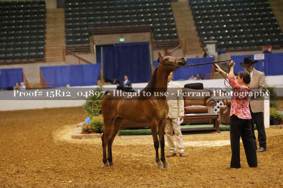 Proof 15R12_04897