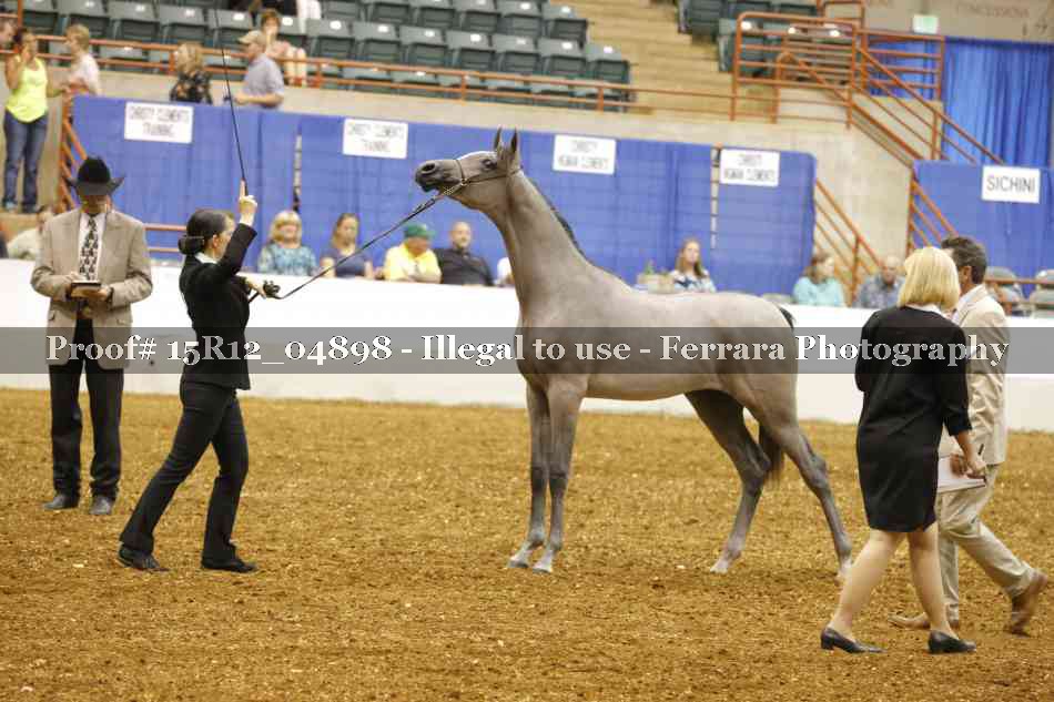 Proof 15R12_04898
