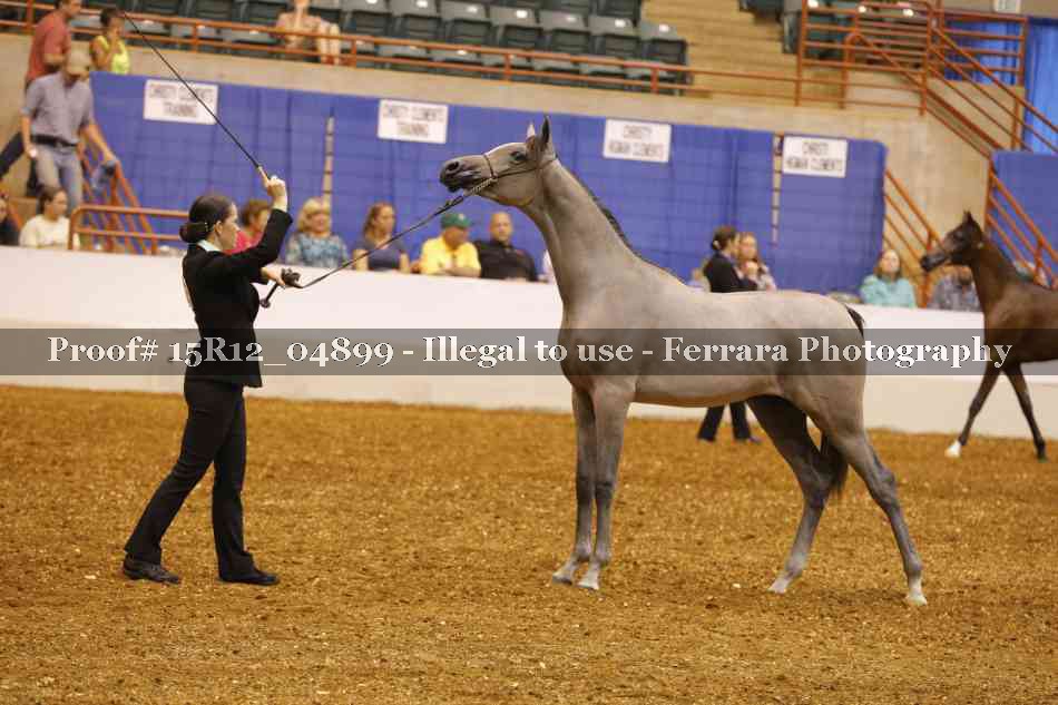Proof 15R12_04899