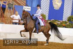 15R12_04986 proof