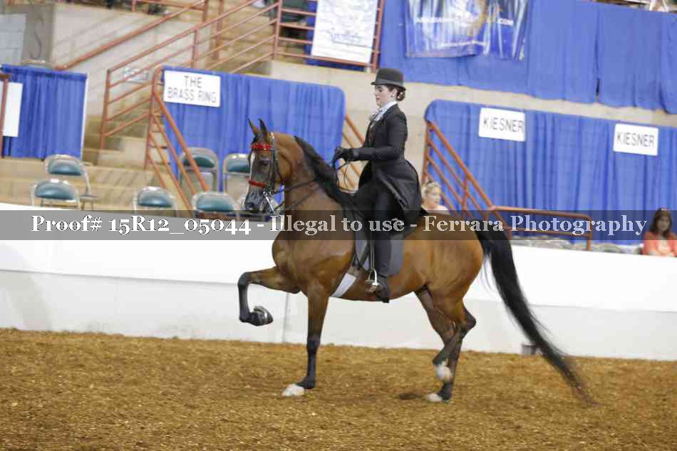Proof 15R12_05044