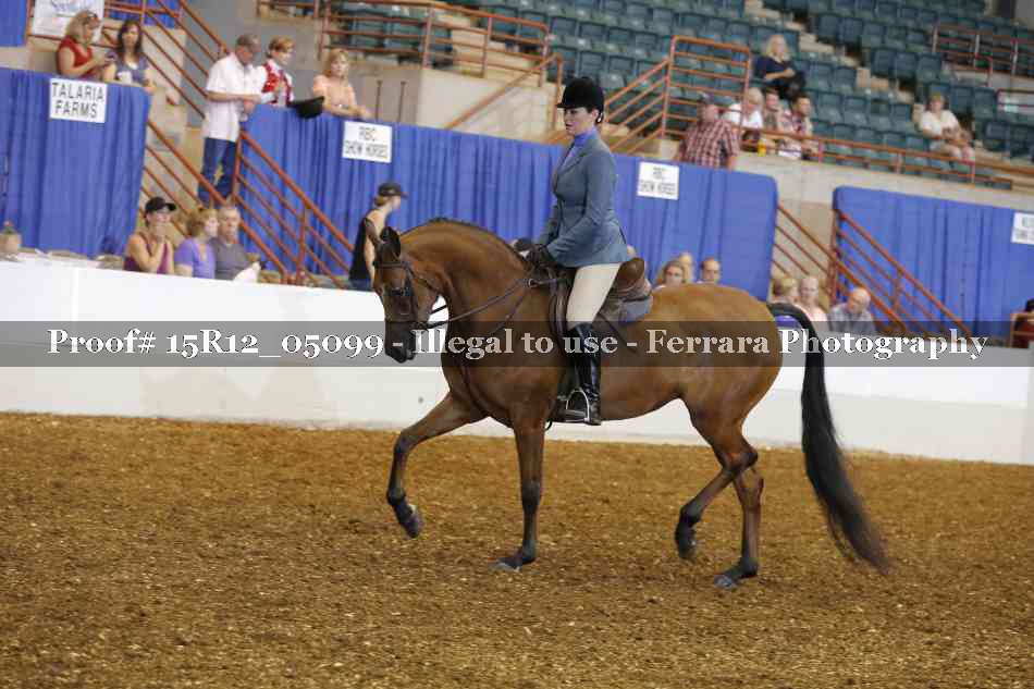 Proof 15R12_05099
